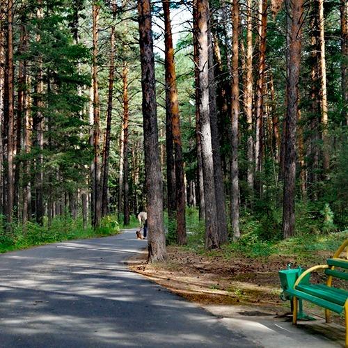 Городской парк Ленск